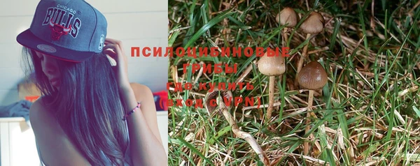 mix Мегион