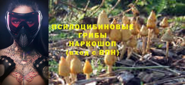 спиды Медвежьегорск