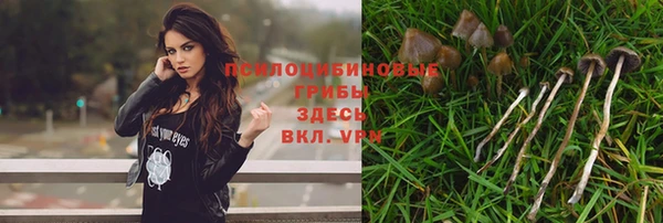 mix Медногорск