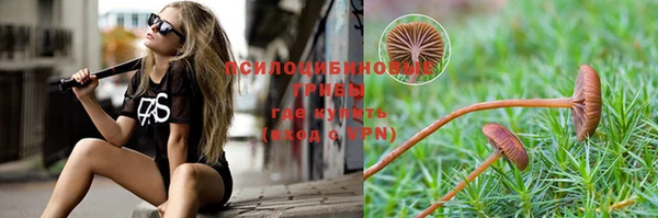 mix Медногорск